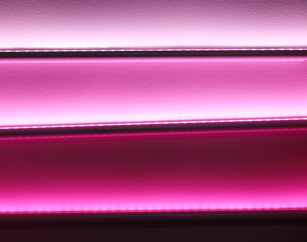 鮮肉柜專(zhuān)用桃紅光歐恩照明X5D